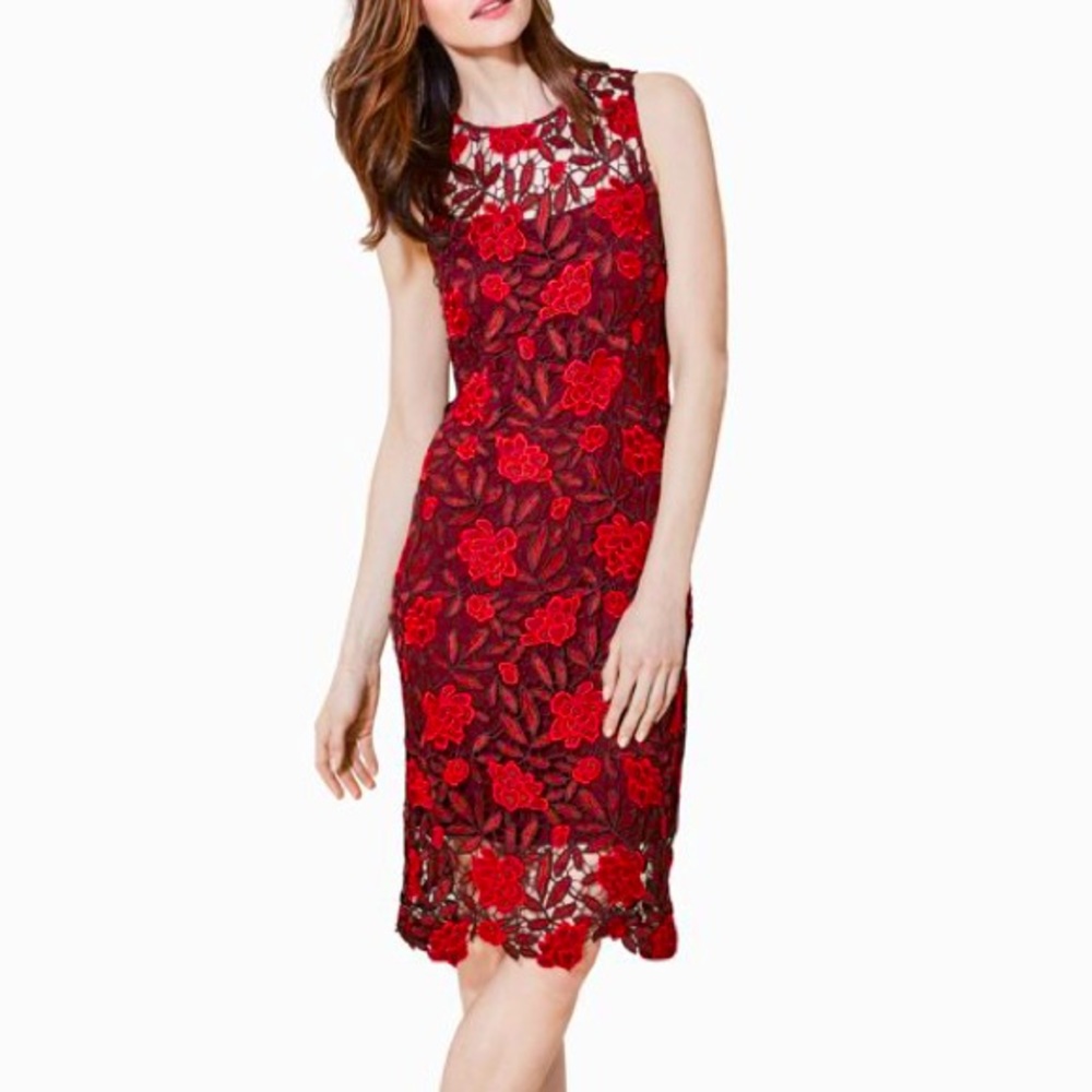 Calvin Klein Two Tone Sheath Dress 👗 NWT